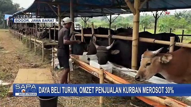 Daya Beli Turun, Omzet Penjualan Hewan Kurban di Bogor Merosot 30 Persen