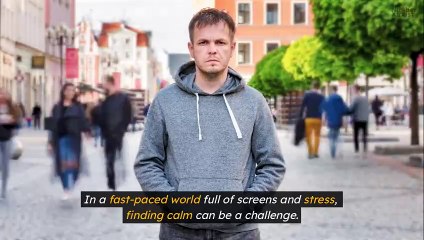 10 Reasons Paint by Numbers Kits Are Perfect for Stress Relief