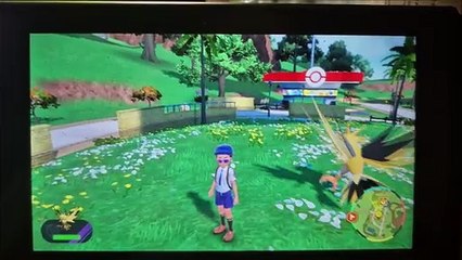 Documentary: Zapdos Anthony's Favorite Pokémon