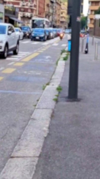 Milano, motorini prendono la pista ciclabile contromano. La protesta dei ciclisti: "Lo fanno sempre, per evitare le code"
