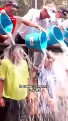 Le danger de l’Ice Bucket Challenge sur les chiens