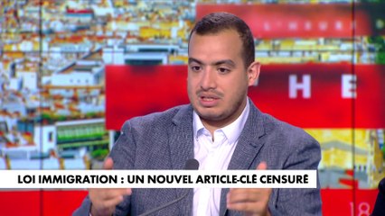 Amine Elbahi : «Le vrai sujet politique, c'est un référendum sur l'immigration»