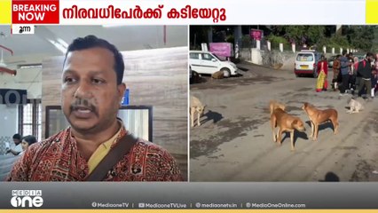 ഇടുക്കി മൂന്നാറിൽ തെരുവുനായ ആക്രമണം; വിനോദ സഞ്ചാരികളടക്കം നിരവധി പേർക്ക് കടിയേറ്റു
