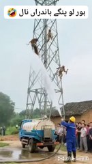 How to earn mony deepsee Funtime