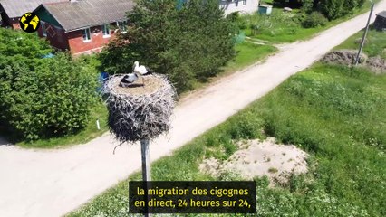 Ces émissions TV où il ne se passe rien… et que les Scandinaves adorent