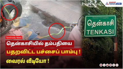 தென்காசியில் தம்பதியை பதறவிட்ட பச்சைப் பாம்பு ! வைரல் வீடியோ !