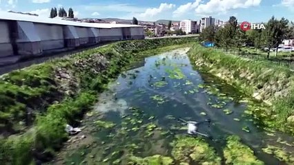 Ölümcül kene tehdidine karşı dronelu önlem