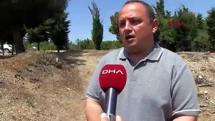 Çanakkale Savaşları'nda dikkat çeken rapor: Koku dayanılmazdı