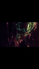 Man and alien fight scene