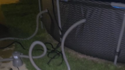 Dog refused to calm down when everything in the backyard scared his mom