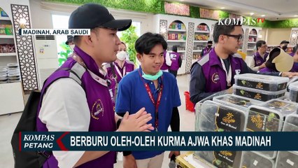 Berburu Kurma Langsung dari Kebun, Oleh-Oleh Wajib Jamaah Haji di Madinah