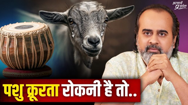 पशु क्रूरता रोकनी है? तो माँग बढ़ाओ || आचार्य प्रशांत (2025)