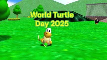 SM64: Celebrate World Turtle Day 2025 with SM64! 🐢