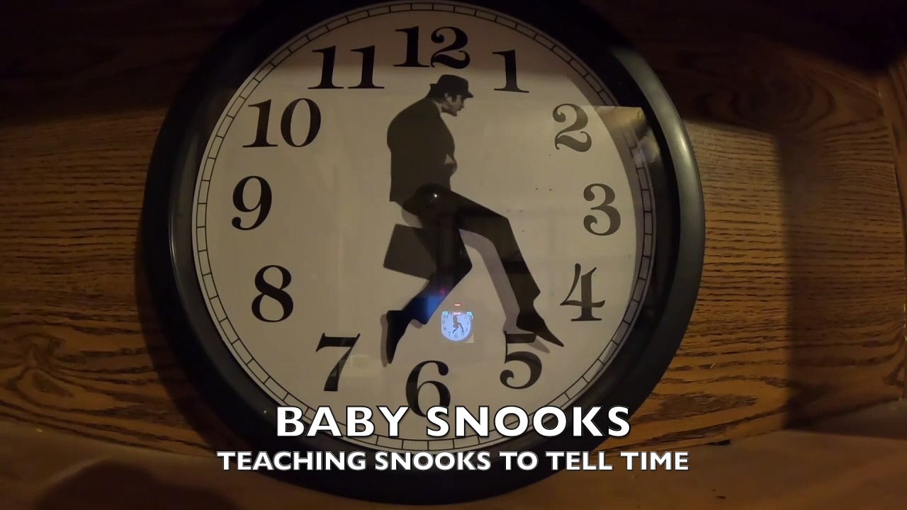 Story Time Lagniappe - Teaching Snooks to Tell Time (Baby Snooks)