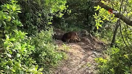 26 yaşındaki genç cinayete kurban gitti