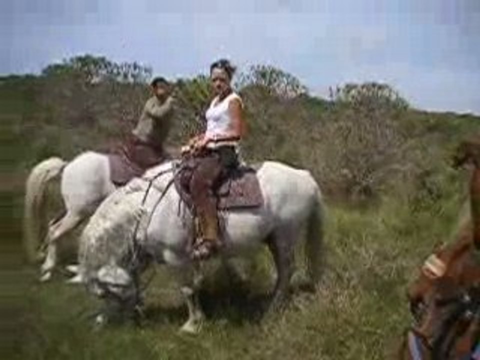 Sandriine &. Alex