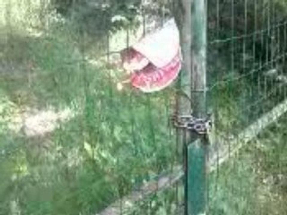 pannau de passage enflamer