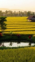 My Homeland | The serenity of the countryside, where you find yourself