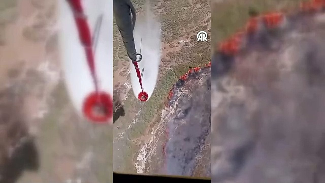 Tarım arazisinde çıkan ve ormanlık alana sıçrayan yangına müdahale ediliyor