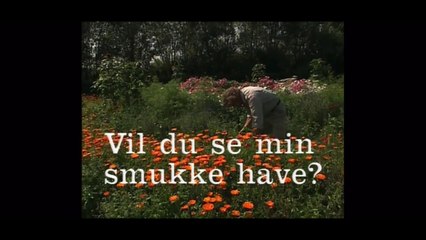 Vil du se min smukke have? - KIM LARSEN | 2003 | DR