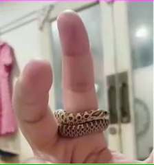 Amazing Animal Growth Journey