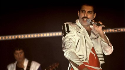 GALA VIDEO - Freddie Mercury aurait une fille cachée : elle sort du silence avec des révélations explosives