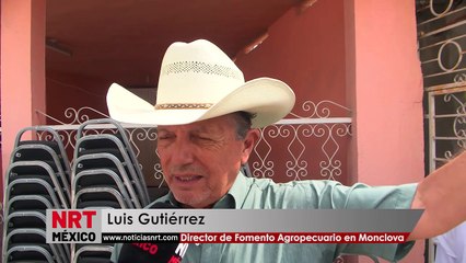 Dejan amarrados a caballos a la orilla del río Monclova