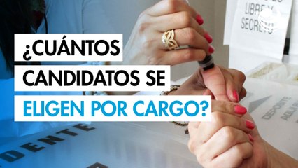 Elección del Poder Judicial: ¿Cuántos candidatos se eligen por cada cargo?