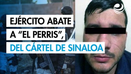 Ejército abate a "El Perris", cabecilla del Cártel de Sinaloa