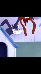 Part 62 Tom and Jerry #tomandjerry #animation #cartoon #droopy