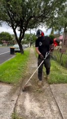 #cleaningasmr#cuttinggrass#cleaninghouse#satisfying#asmrsleep#asmrsleeprelax#cleaninggarden#cleaningsatisfying#uncloggingdrains#homecleaning#housecleaning