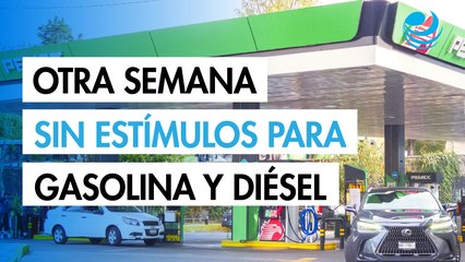 Vuelven a dejar sin estímulos fiscales a las gasolinas y el diésel; suman 7 semanas sin apoyo