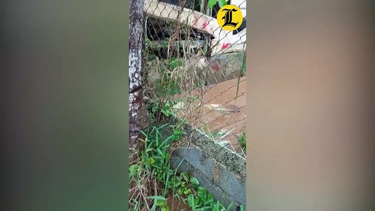 Estudiantes en Yamasá reciben clases al aire libre y bajo una carpa debido al deterioro de centro educativo