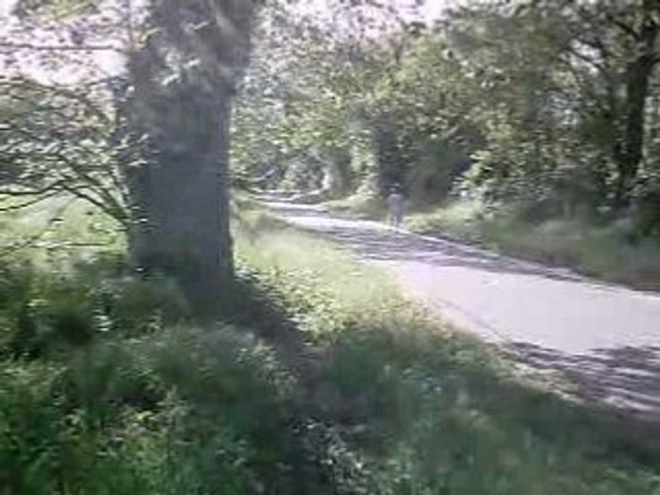 mes premiers stoppies fenwick