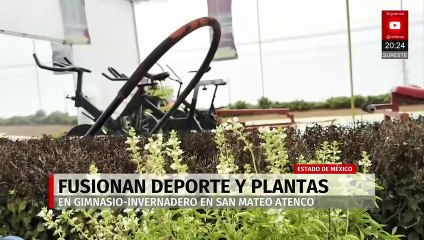 En Edomex, fusionan deporte y plantas en gimnasio-invernadero