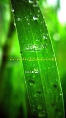 Quran ki ayat !!! 1 million followers