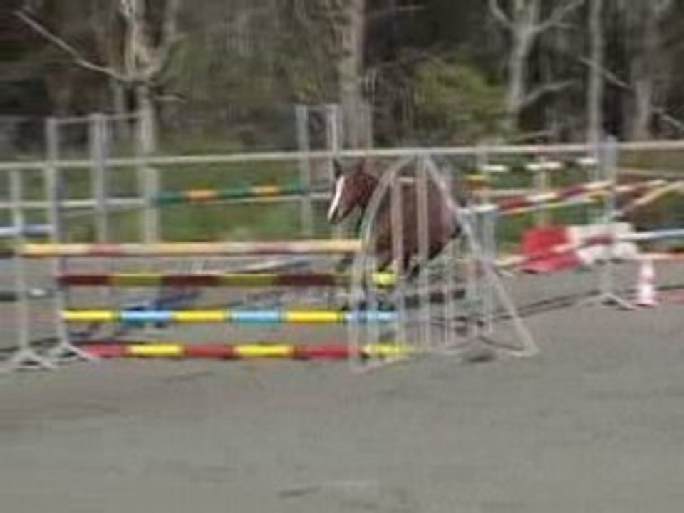 Rive Bleue Saut en Liberté 3 ans int