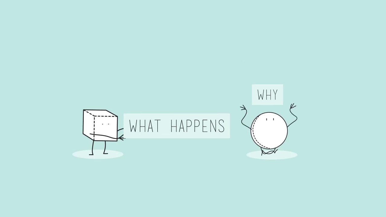 What’s the difference between a scientific law and theory  - Matt Anticole