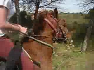 Rando en Camargue , Au Galop =DD