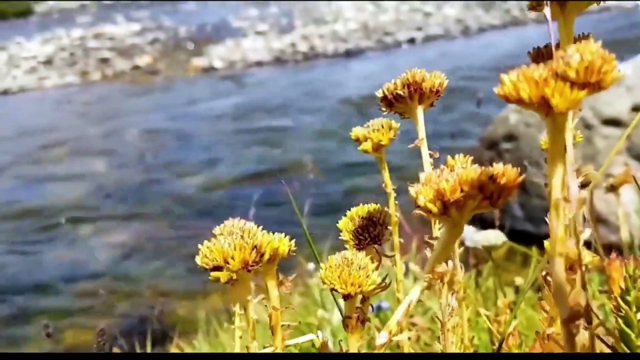 Alpine Lakes of Pakistan Jewels in the Mountains