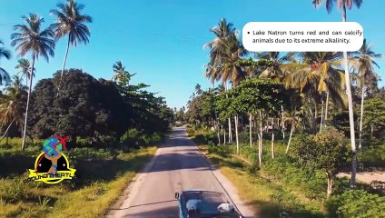 "The Country That Redefines Africa — Welcome to Tanzania"