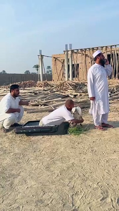 Pakistan comedy