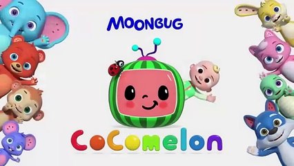 Peanut Butter Jelly Sandwiches in SPACE! - NEW 🌌 CoComelon Animal Time - Animals for Kids
