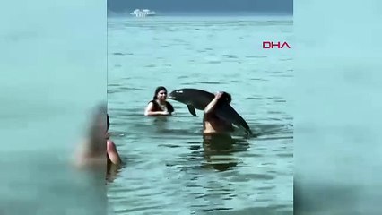 Yüzmek için girdiği denizden, omzunda bir yunusla çıktı!
