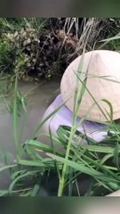 Wanita tobrut sexy pencari ikan