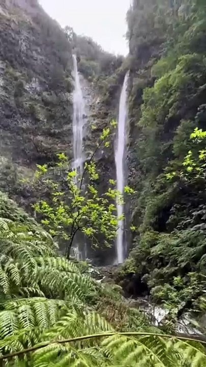 LES PLUS BELLES cascades de Madère