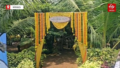 વલસાડમાં વિલુપ્ત થતા વૃક્ષોનો બીજ મેળો યોજાયો, ચાંદીવો, કરવળ, રોહણ સહિત 250થી વધુ દુર્લભ બીજ એક સ્થળે