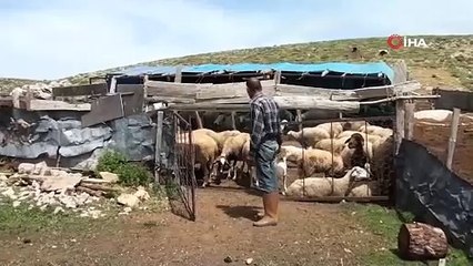 Antalya’da Yörüklerin yayla serüvenleri başladı