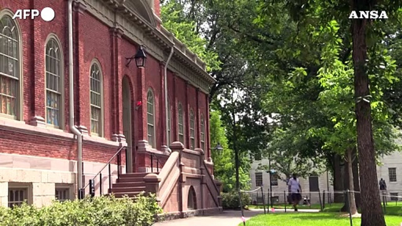 Trump contro Harvard, persi  2,4 miliardi di dollari per i tagli ai fondi per la ricerca in Usa