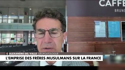 Alexandre Del Valle : «Les Frères musulmans ont réussi à transmettre leur vision paranoïaque»